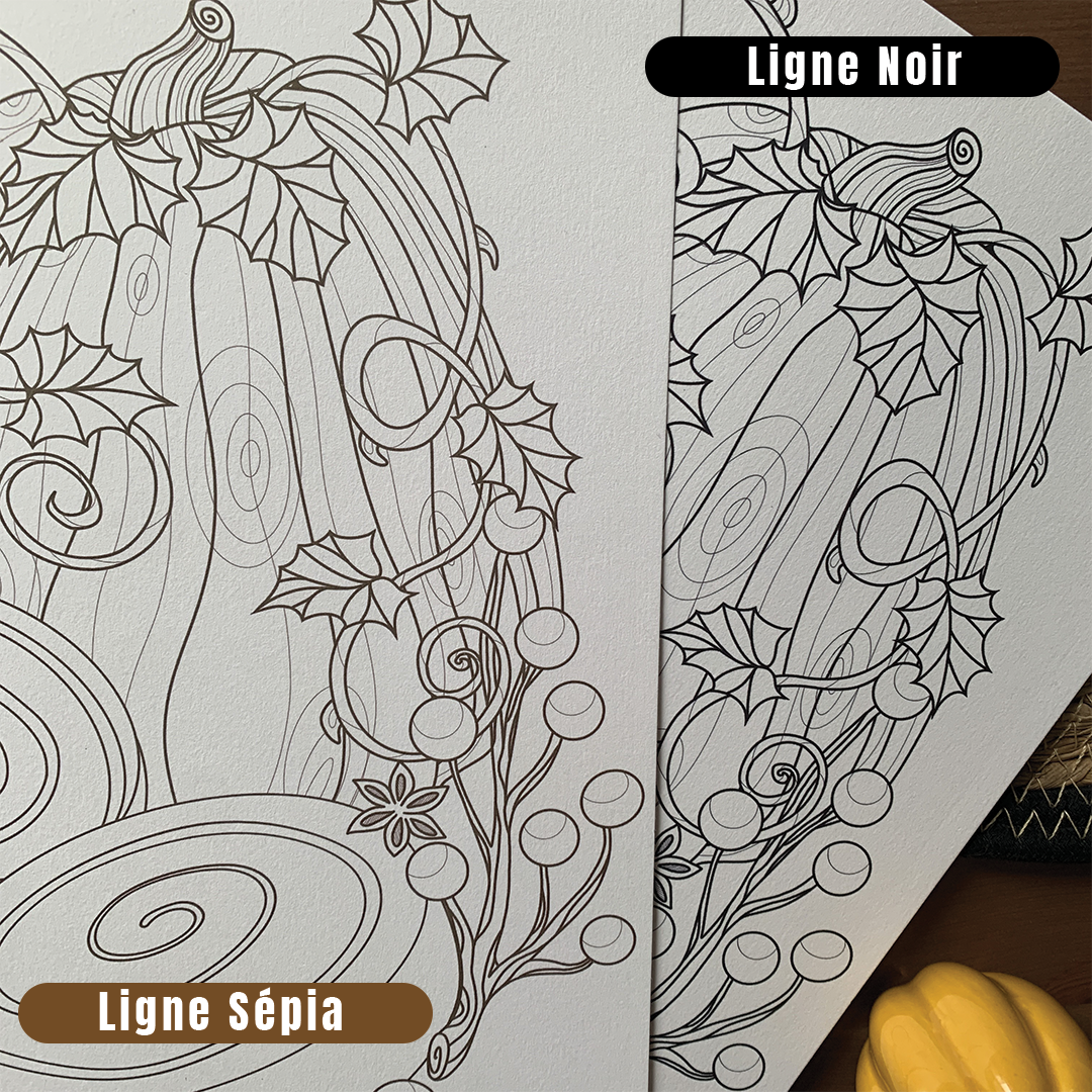 Set de 3 Coloriages - Étrange Nature