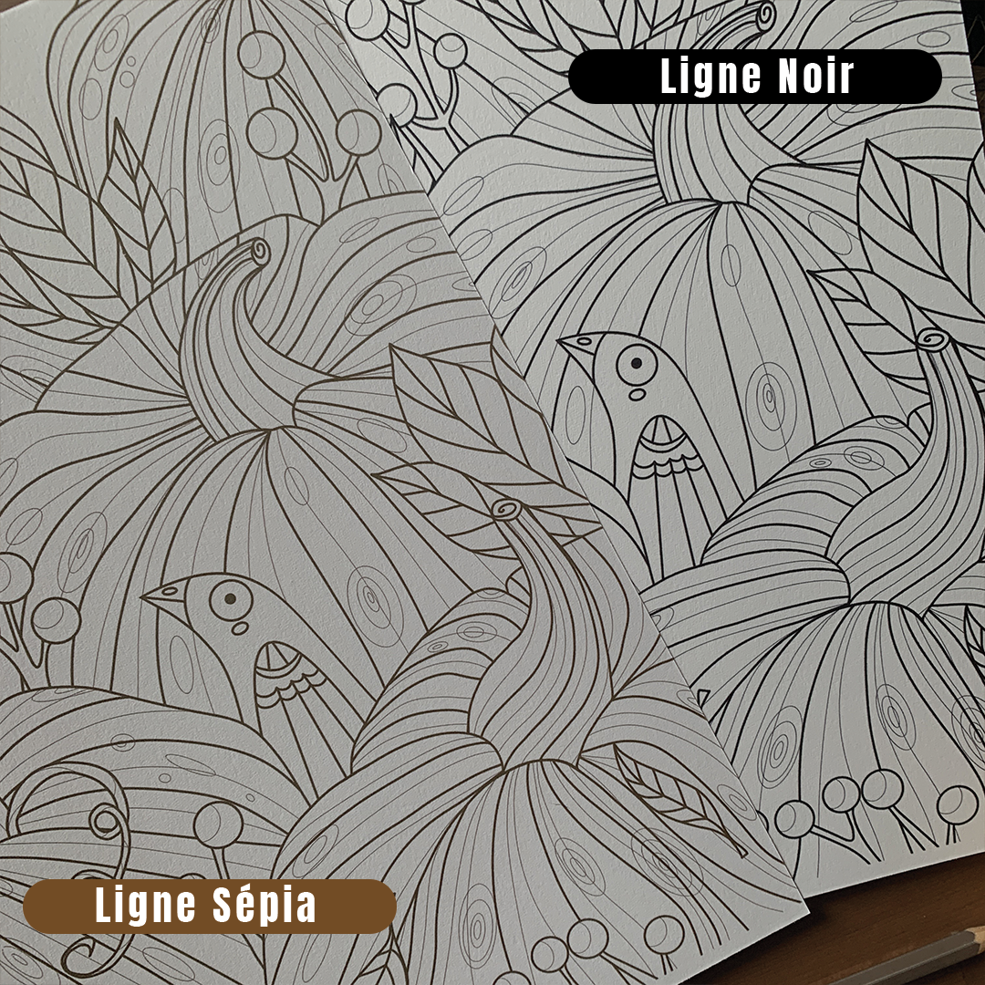 Set de 3 Coloriages - Étrange Nature