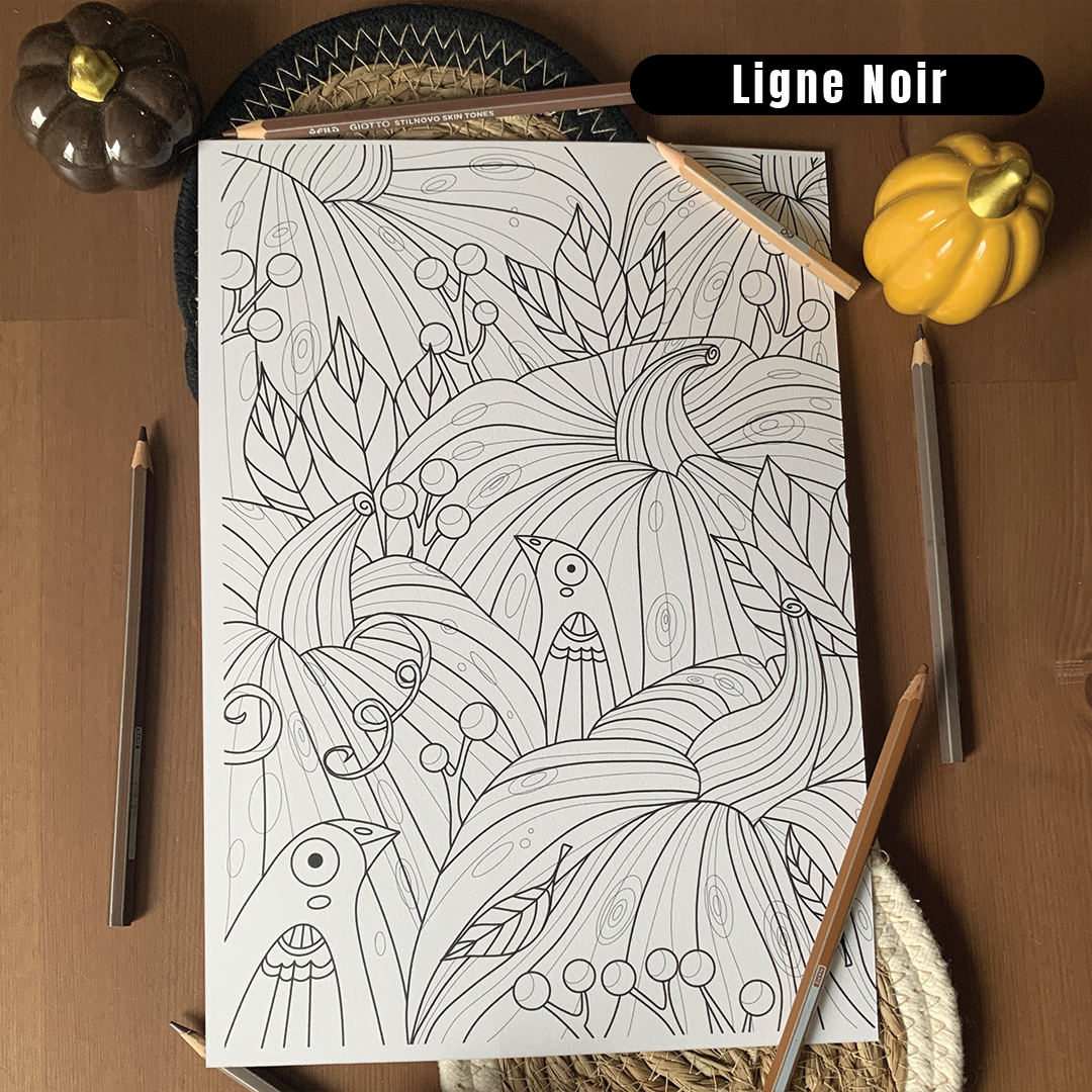 Set de 3 Coloriages - Étrange Nature