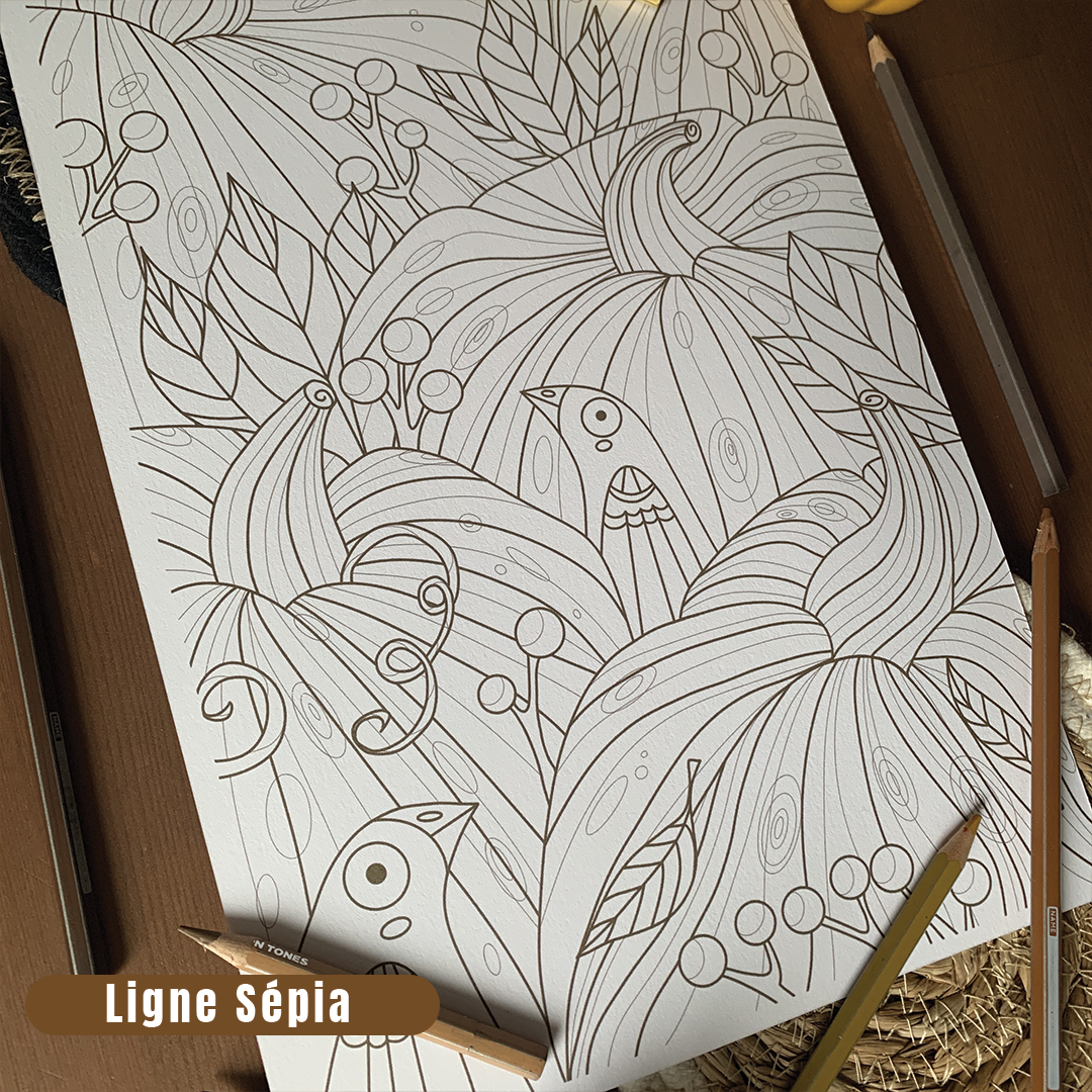Illustration à colorier - Rêve de citrouille